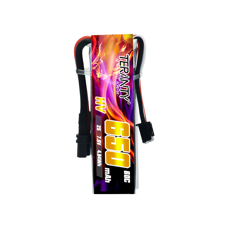 2/4/6/10 Stück TERANTY 650mAh  – Fpv Drone Kit Bewertung und Preis